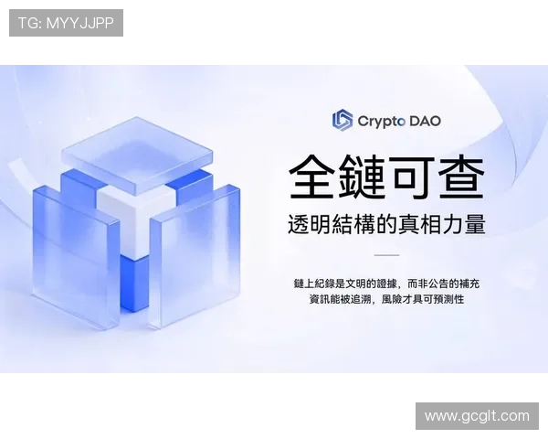 聚焦赛道风云全面解读一级方程式车坛最新动态与竞争格局变化前瞻